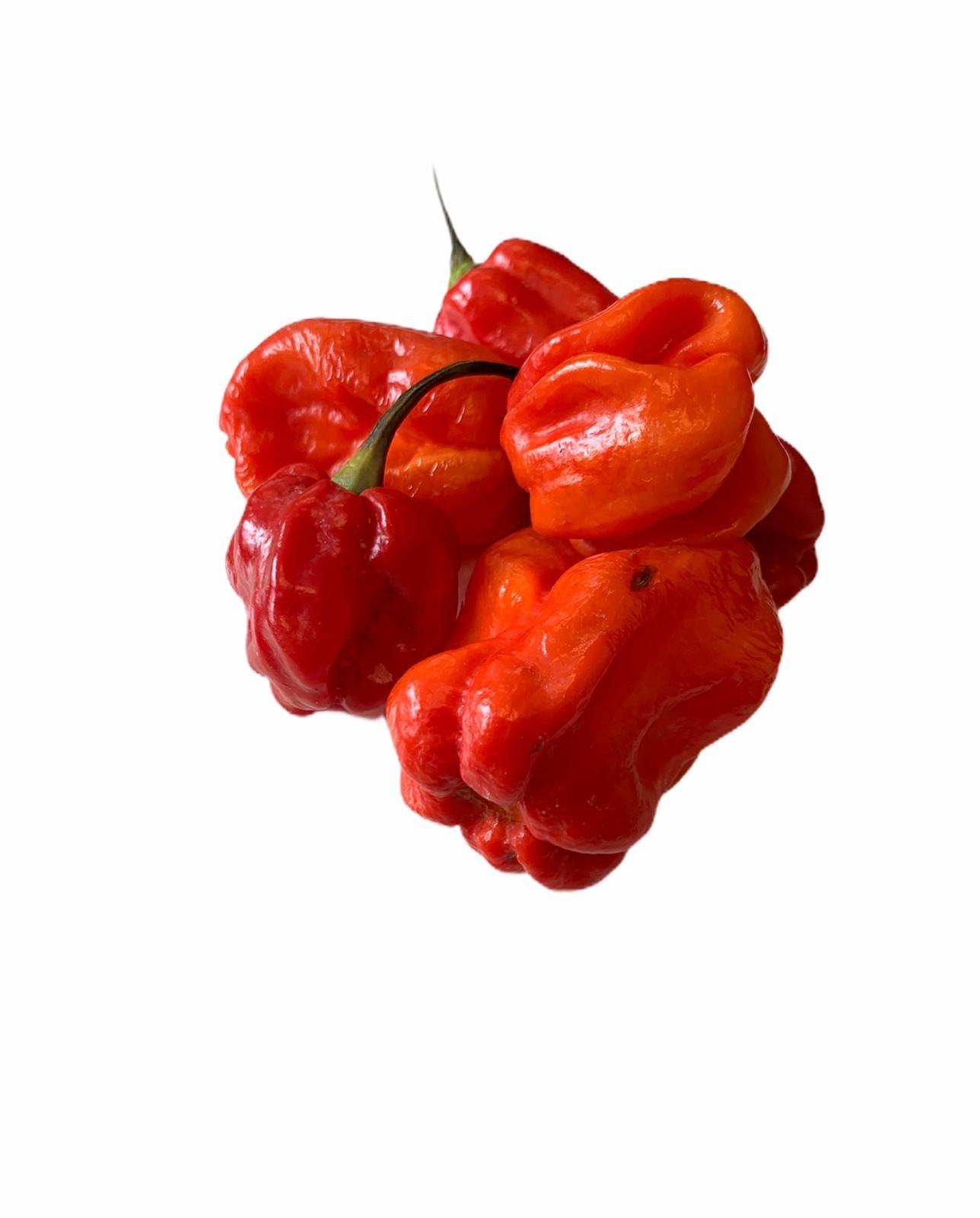 Hot scotch bonnet (Ata Rodo) 100g