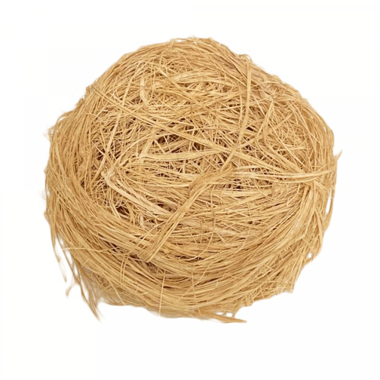 Local Sponge (koin-koin)