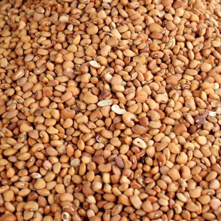 beans