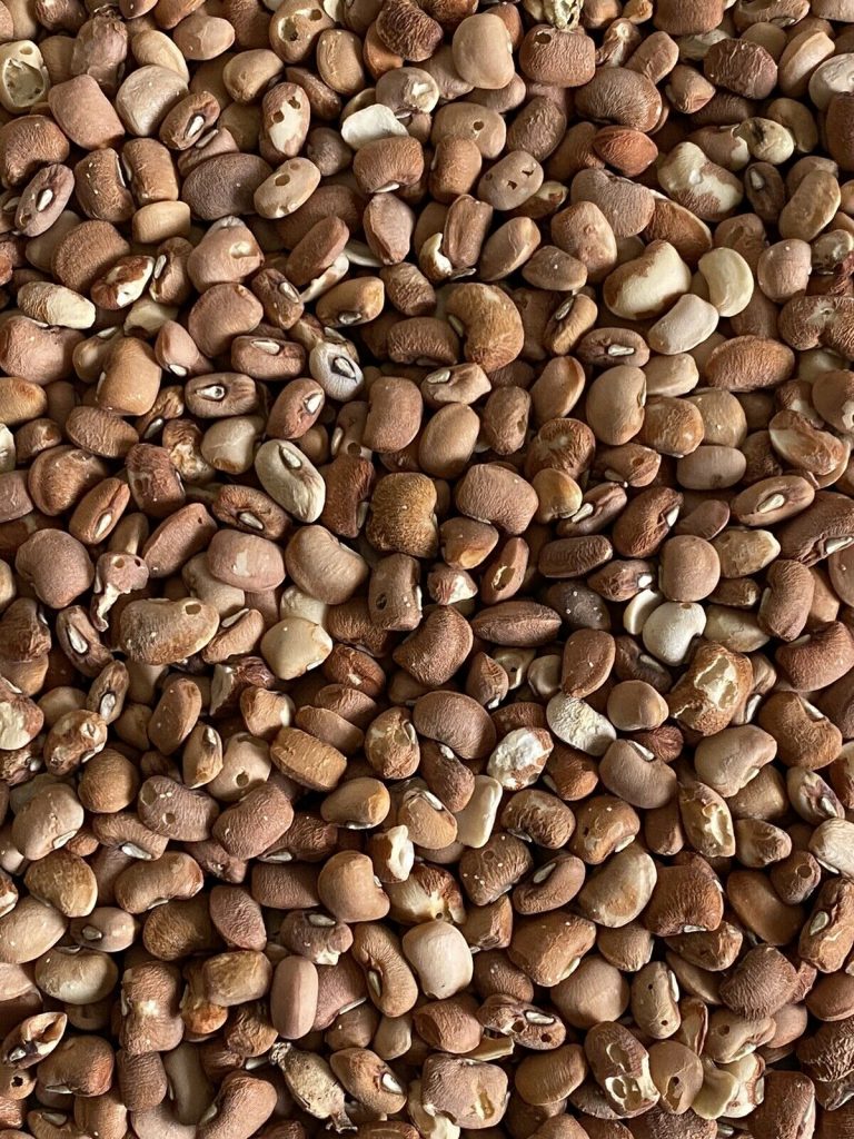 brown beans