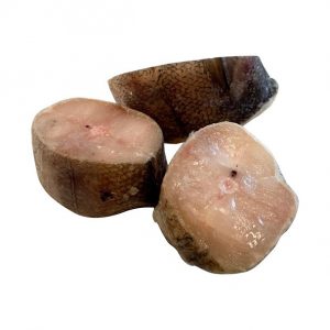 hake fish