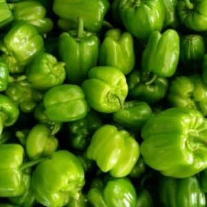 Green Pepper