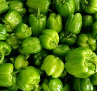 Green Pepper
