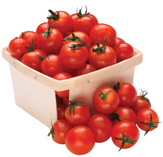 tomatoes
