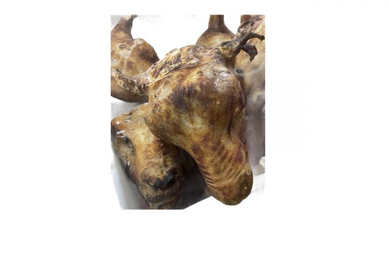 goat head