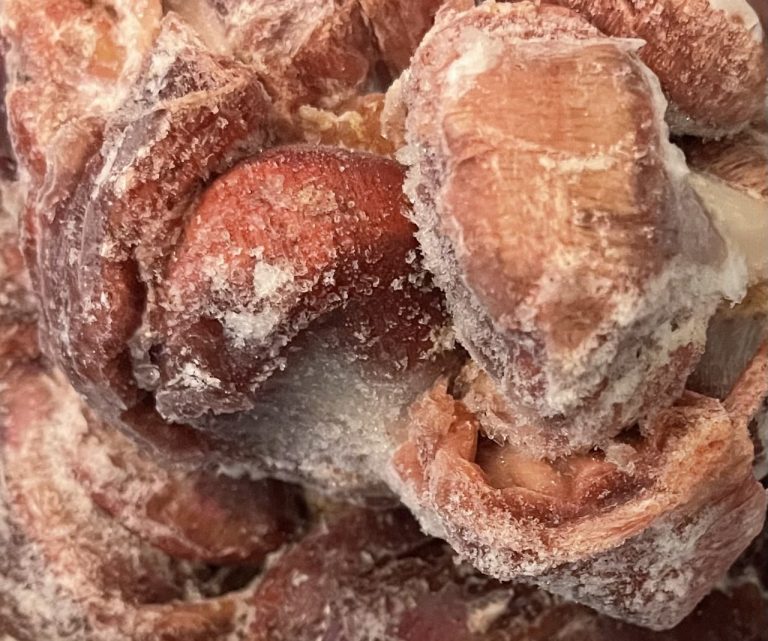 Turkey gizzard