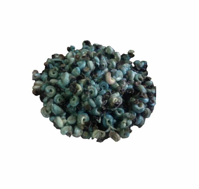 Periwinkles