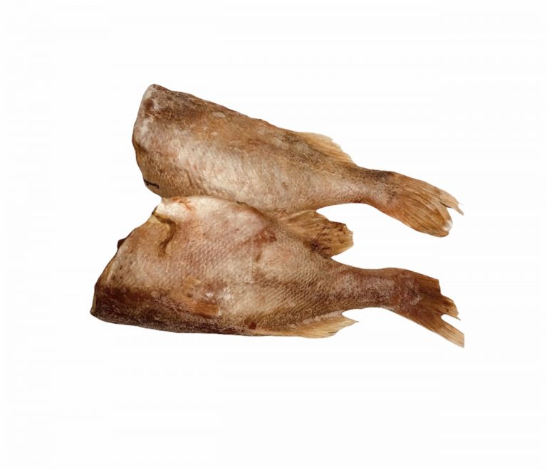 red beam fish