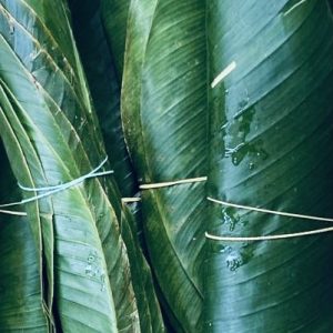 moin moin leaves