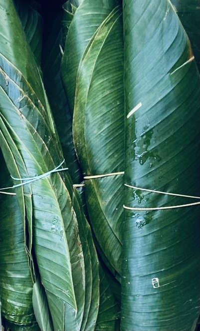 moin moin leaves